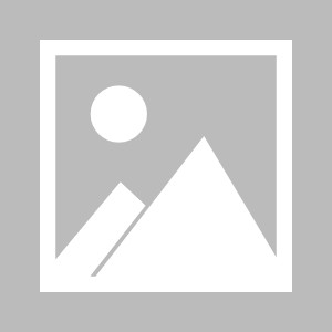 山西三节领先山东，张宁得到18分，刘毅得到14分