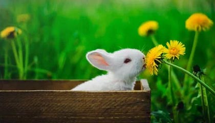 数据-www.hth.com——重新定义现代生活方式的全链路平台