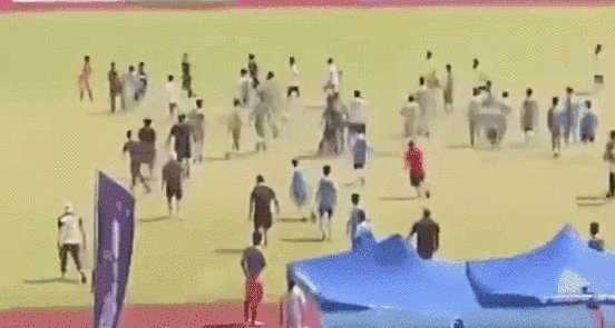 1664280833954058205.gif 1.gif